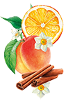 Illustration orange - Aromatiques 38 08